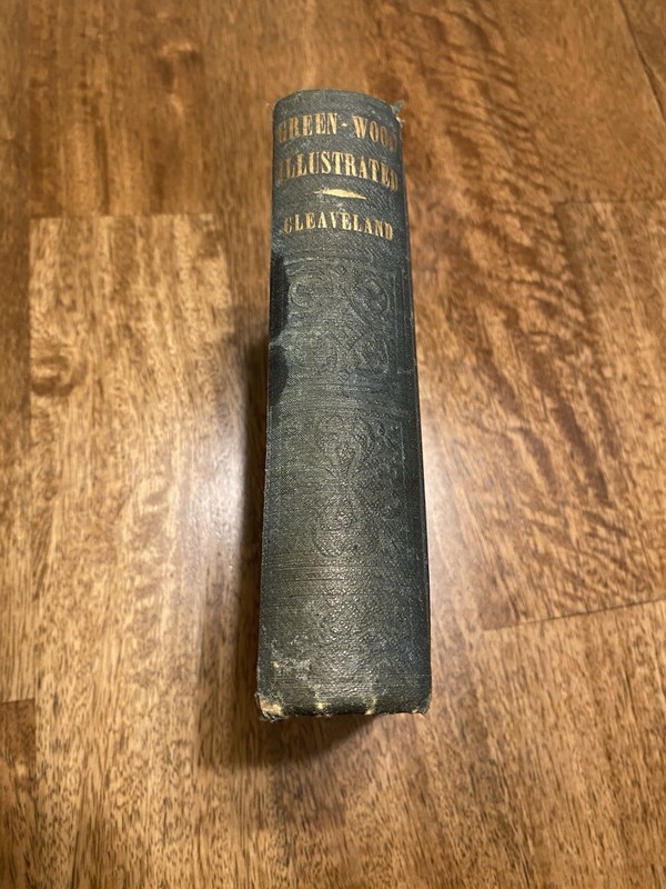 1852 Green-wood Illustrated by N. Cleaveland -Rare Copy- 170+ Years Old! gallery