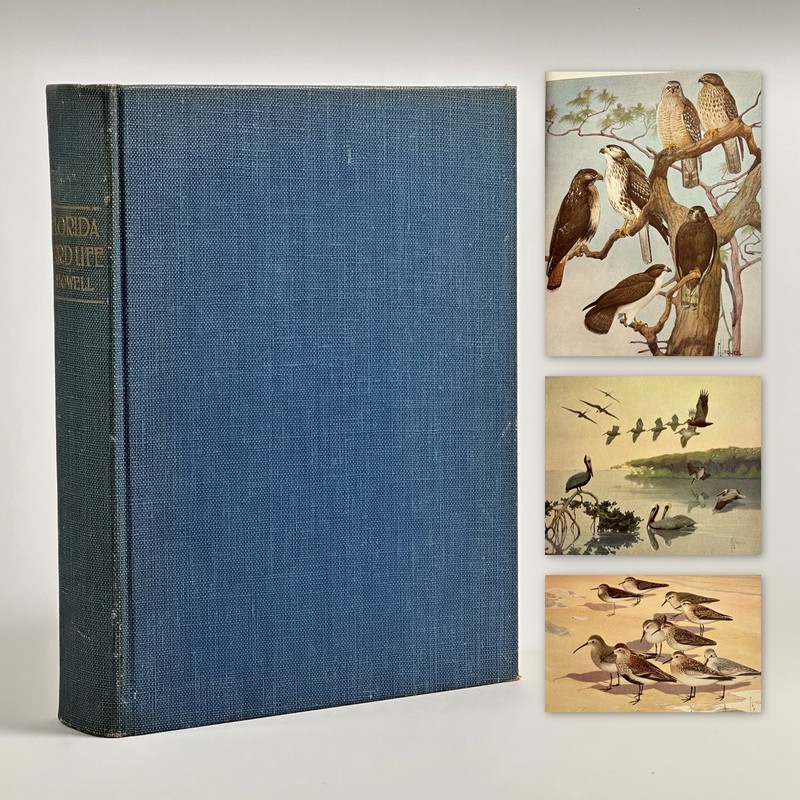 1932 Ornithology w/ Color Plates «Florida Bird Life» Howell / Jaques (Hardcover)