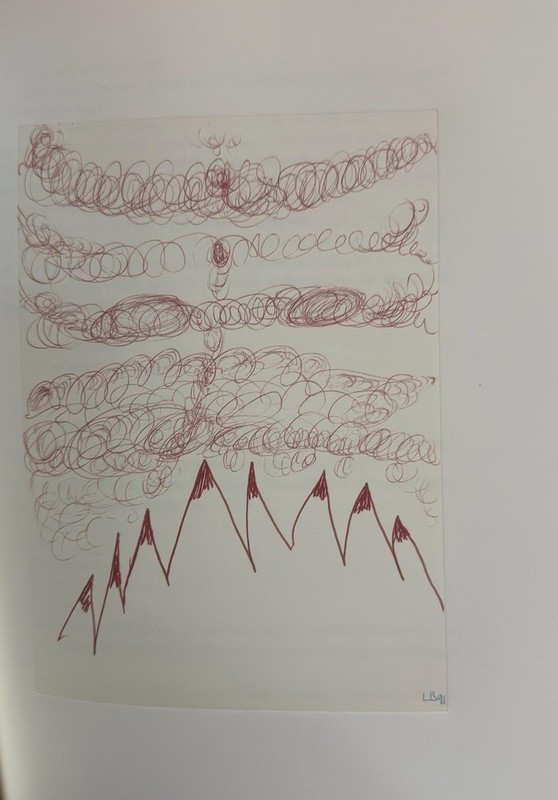 Louise Bourgeois & Arthur Miller "Homely Girl, A Life" (2 volume set) And Box gallery
