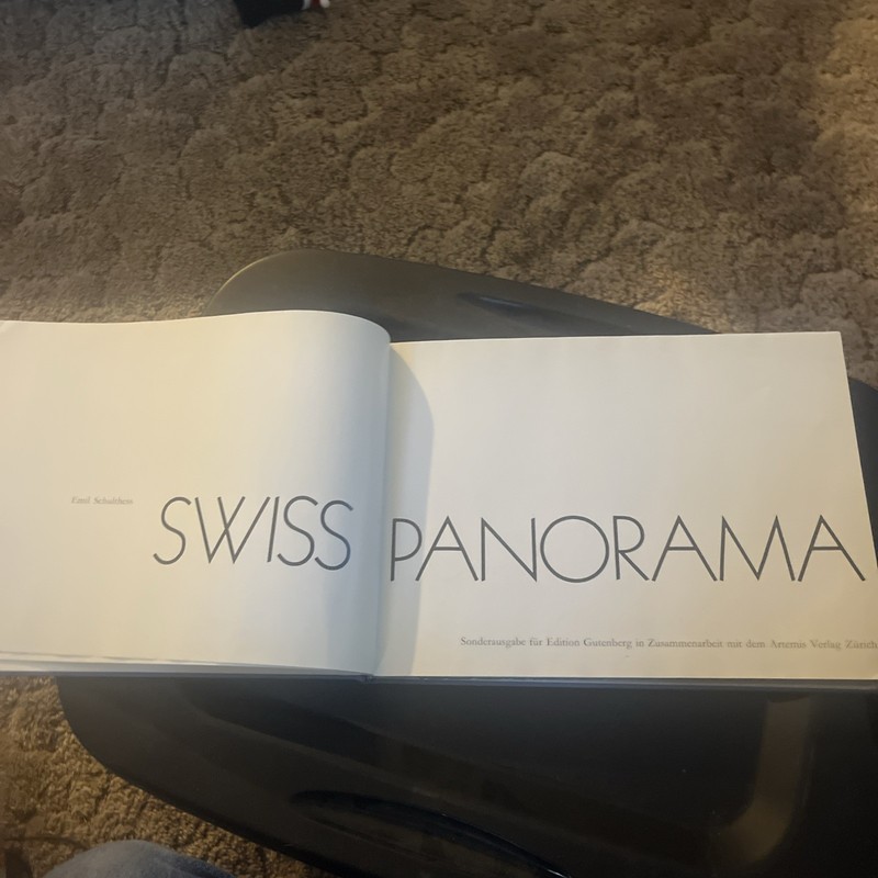 Swiss Panorama by Emil Schulthess
