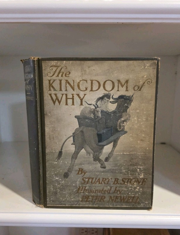 «The Kingdom of Why» Stuart B Stone Illustrated Peter Newell 1913 First Ed