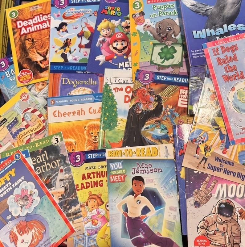 Lot Of 20 Level 3 Readers MIXED NO DUPLICATES Free Shipping