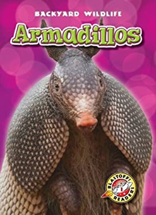 Armadillos Library Binding Kari Schuetz