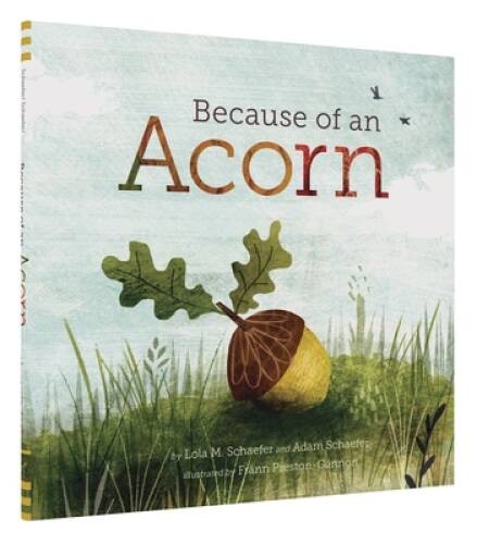 Because of an Acorn – Hardcover By Schaefer, Lola M. – VERY GOOD