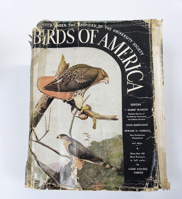 Birds of America Book – 1936 – Louis Agassiz Fuertes color plates Hardback