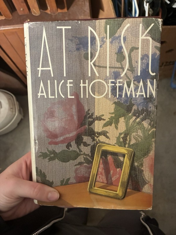 At Risk by Alice Hoffmann (1988, Hardcover, GOOD)
