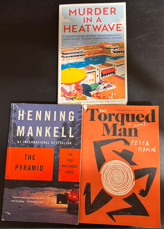 3 MYSTERY TRADE PAPERBACKS GOOD CONDITION WELL-READ SEE INFO BELOW & PHOTO ABOVE