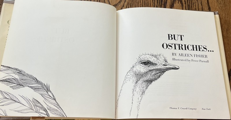 BUT OSTRICHES... : by Aileen Fisher : illus Peter Parnall : hbdj : vintage gallery