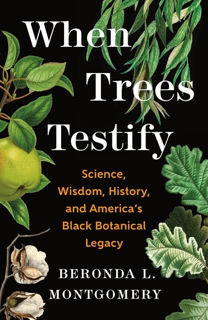 When Trees Testify: Reckoning With Black History Through The…
