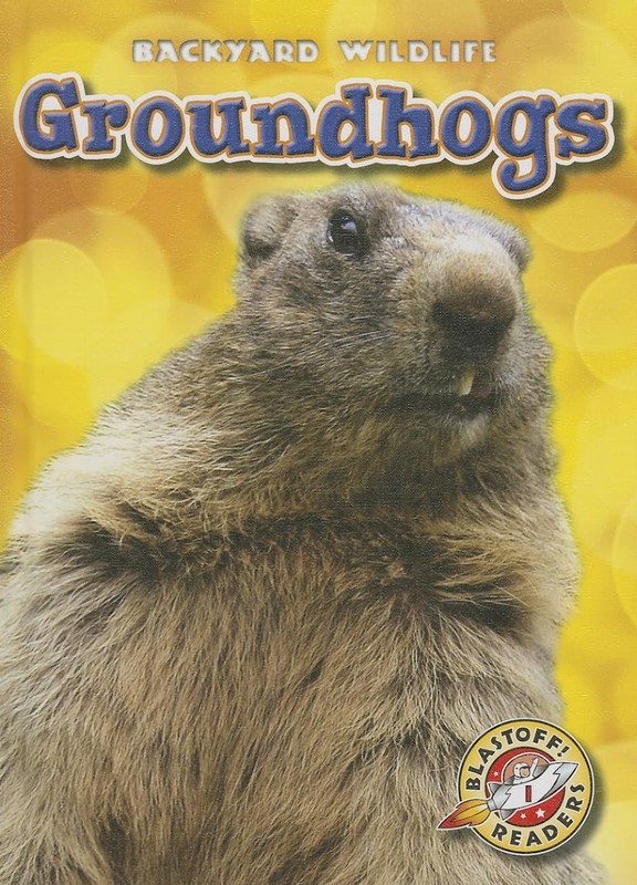 Groundhogs (Blastoff! Readers: Backyard Wildlife: Level 1 (Library)) by Schuetz