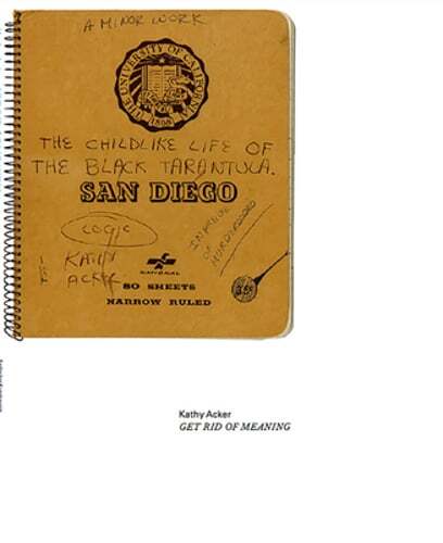 Kathy Acker: Get Rid of Meaning by Kathy Acker: Used