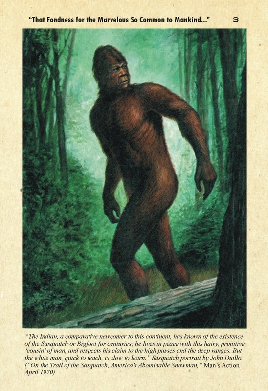 CRYPTOZOOLOGY ANTHOLOGY: monster stories & art, BIGFOOT, Nessie, etc. Hardcover gallery