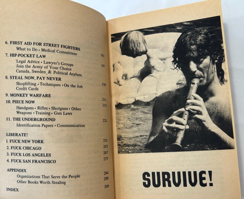 Steal This Book,Abbie Hoffman; Unexpurgated First Edition 1971 w/Promo Poster gallery
