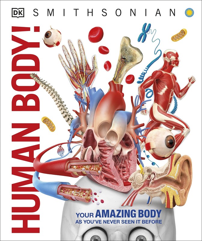 Knowledge Encyclopedia Human Body!: Human Anatomy as You’ve Never Seen It Be…
