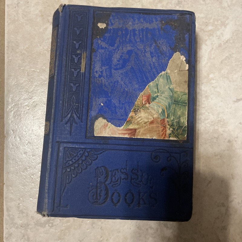 » BESSIE On Her Travels » by Joanna H Matthews 376 pages 1870 Hardcover