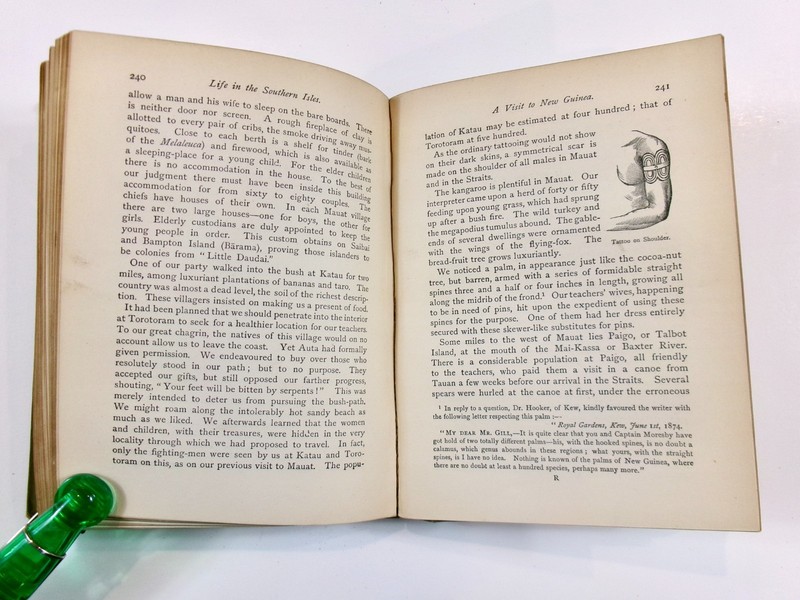 1876 Life in Southern Isles, South Pacific and New Guinea. Illus., 1st Ed. gallery