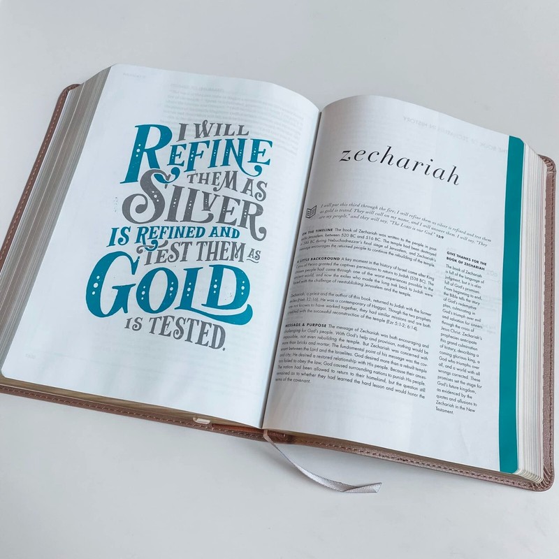 CSB She Reads Truth Bible - Personalized - Daughter of a King - Custom Name gallery
