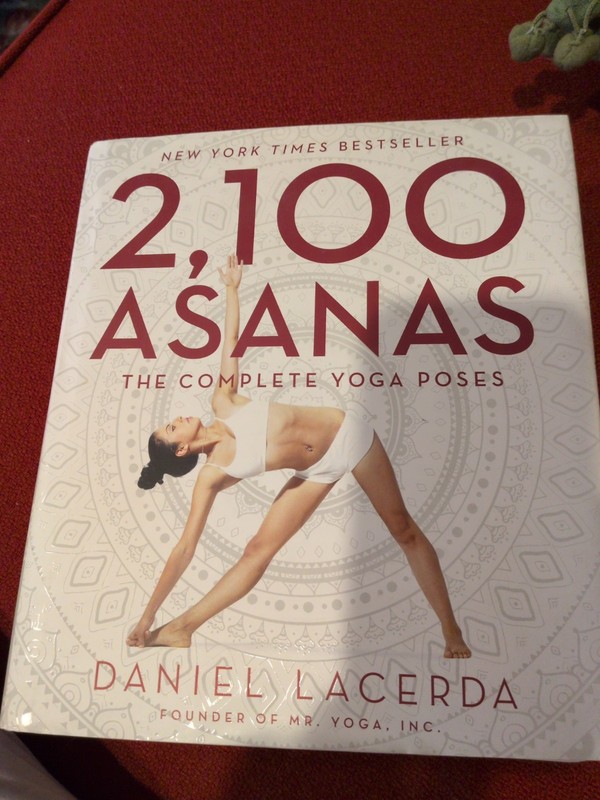 2,100 Asanas : The Complete Yoga Poses by Daniel Lacerda (2015, Hardcover)