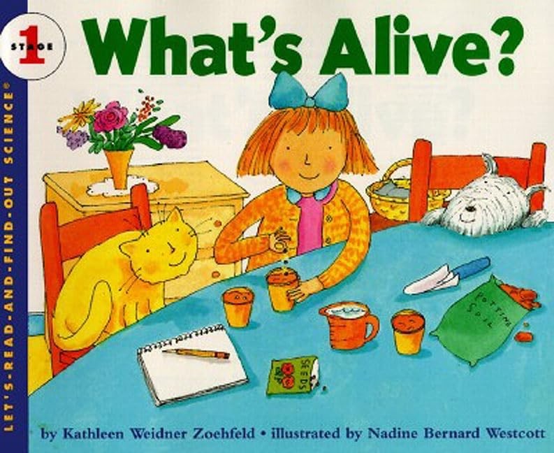 What’s Alive? (Rise and Shine)