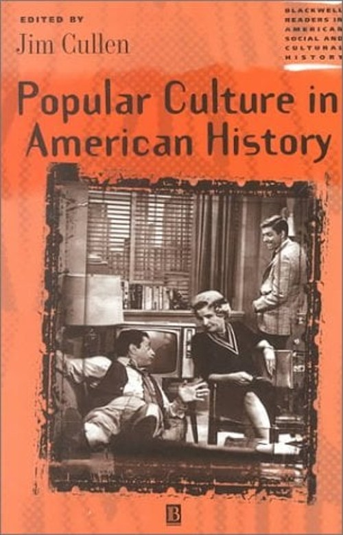 Popular Culture in American History Paperback