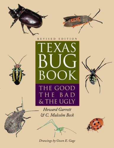 Texas Bug Book: The Good, the Bad, and the Ugly – Paperback – GOOD