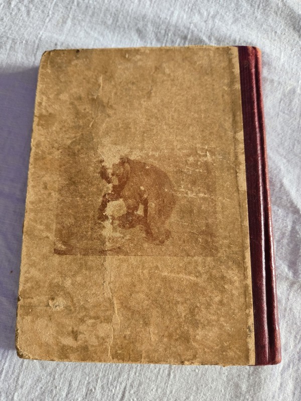 Pacific Nature Stories, Volume II, by Harr Wagner, 5" x 7", RARE, 1896 gallery