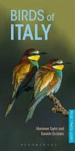 Birds of Italy by Daniele Occhiato and Marianne Taylor (2018, Trade Paperback)