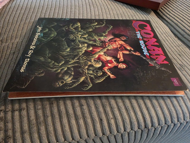 CONAN THE ROGUE - MARVEL GRAPHIC NOVEL -By John Buscema and Roy Thomas - NM- gallery