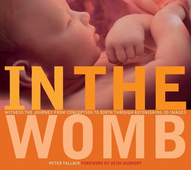 In the Womb: Witness the Journey from Conception to Birth through Astonishin…