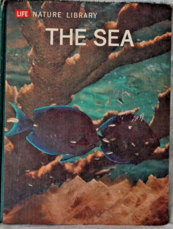 Pre-owned Life Nature Library The Sea( 11x8in) (1961) Hardcover