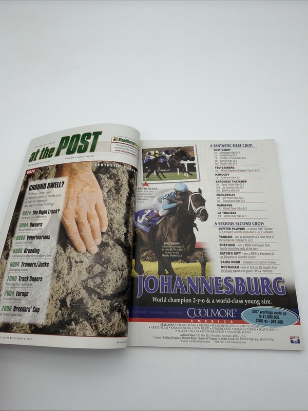 The Blood-Horse Magazine December 8, 2007 / Synthetic Surfaces gallery