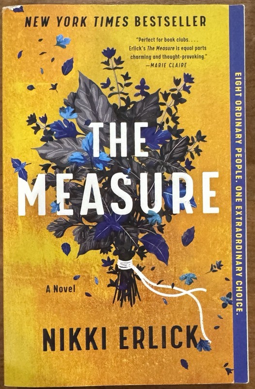 The Measure: A Novel – paperback Erlick, Nikki