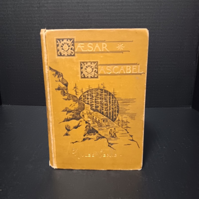 Antique Vintage – 1890 JULES VERNE – Caesar Cascabel – 1st US HC Illus NICE!
