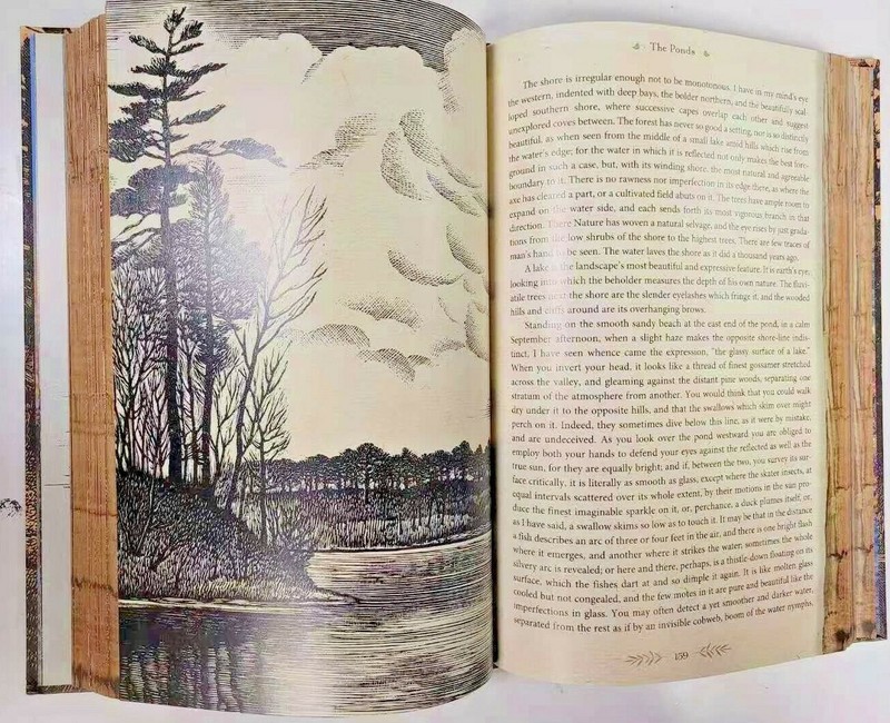 THE ILLUSTRATED WALDEN or Life in the Woods Henry David Thoreau Illustrated NEW gallery