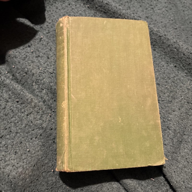 Vintage Field Book of Wild Birds and Their Music – F. Schuyler Mathews – Putnam gallery