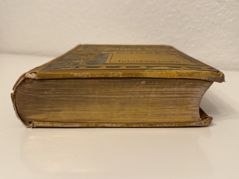 Antique 1882 The Complete Poetical Works of Alfred Lord Tennyson Illustrated gallery