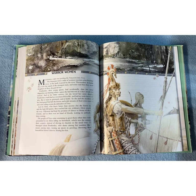 Black Ships Before Troy by Rosemary Sutcliff hardcover gallery
