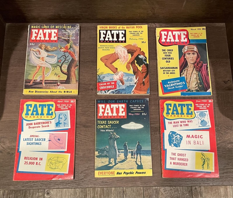 Robert N Webster / Fate Magazine True Stories of the Strange and the Unknown 1st