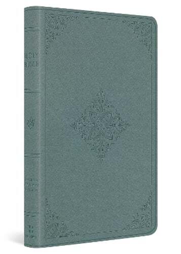 ESV Value Thinline Bible (Trutone, Paris Sky, Fleur-De-Lis Design): New