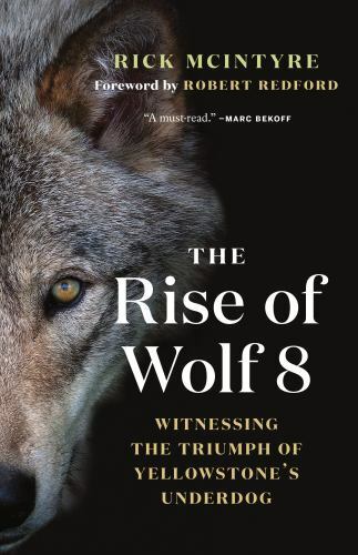 Rise of Wolf 8 : Witnessing the Triumph of Yellowstone’s Underdog by Rick…
