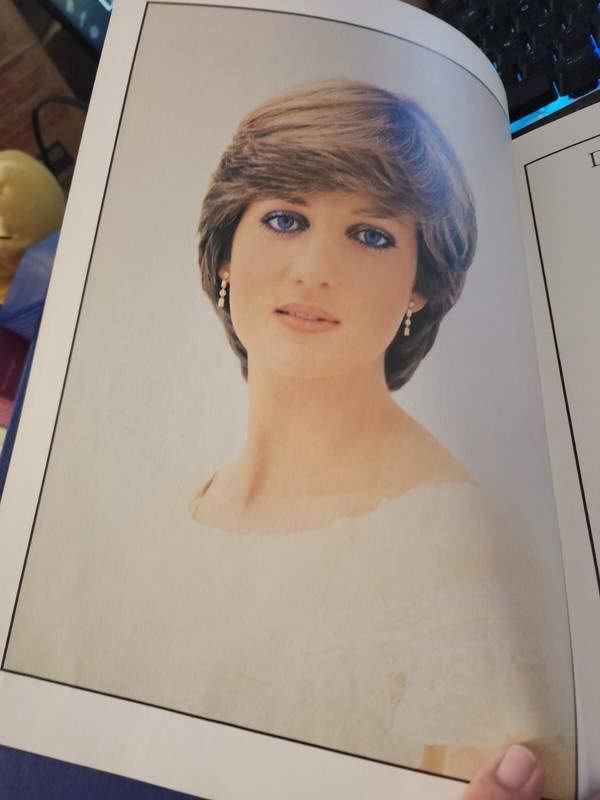 Debrett's Book of the Royal Wedding by Patrick Montague-Smith and Hugo... gallery