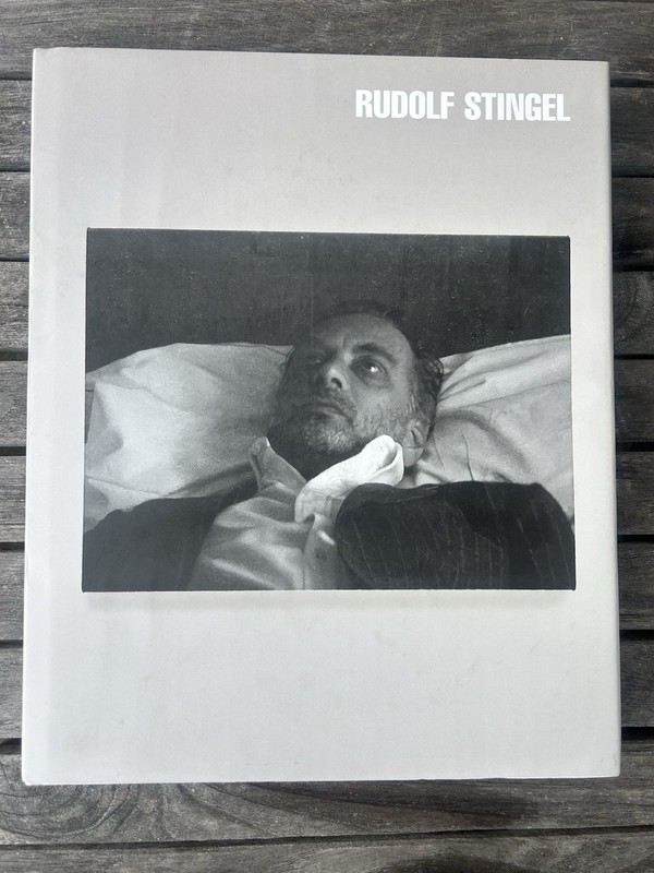Rudolf Stingel Museum Of Contemporary Art : Chicago Chrissie Iles Hardcover 1st