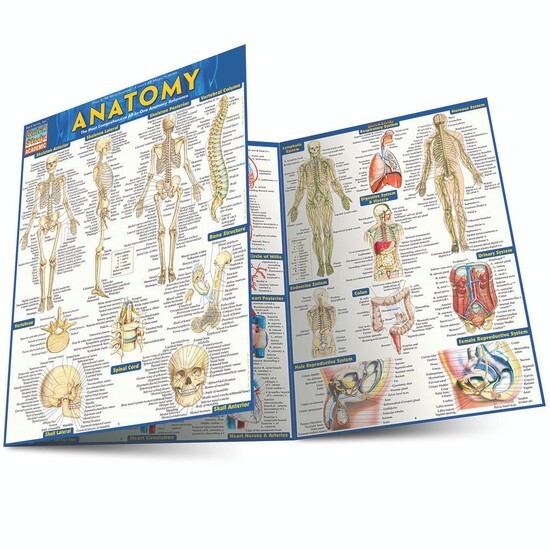Teacher SPECIAL!, Pick any 25 titles of our Study & Reference Guides, 44 Options gallery