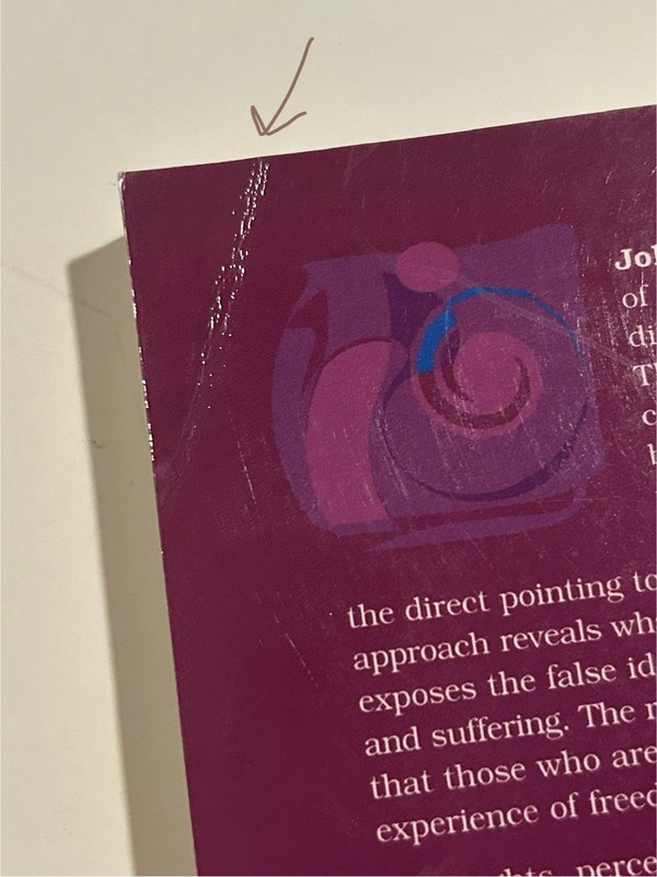 Shining In Plain View by John Wheeler & Non-Duality Press, Paperback 2005 gallery