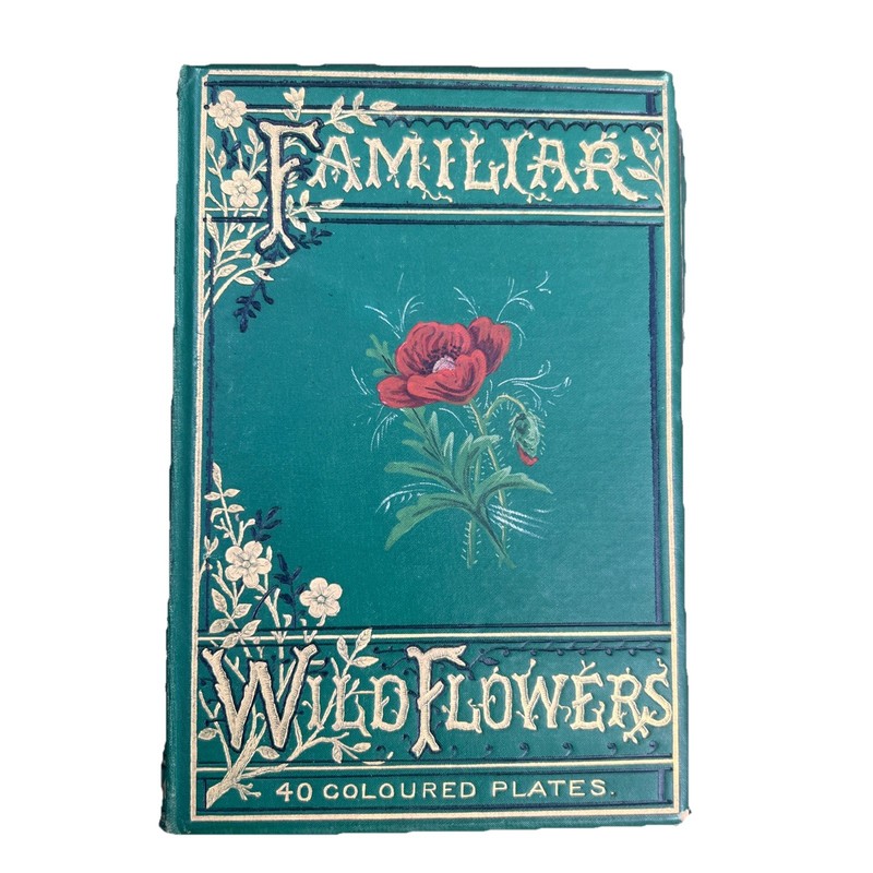 vintage Familiar Wild Flowers by Hulme third series 1883