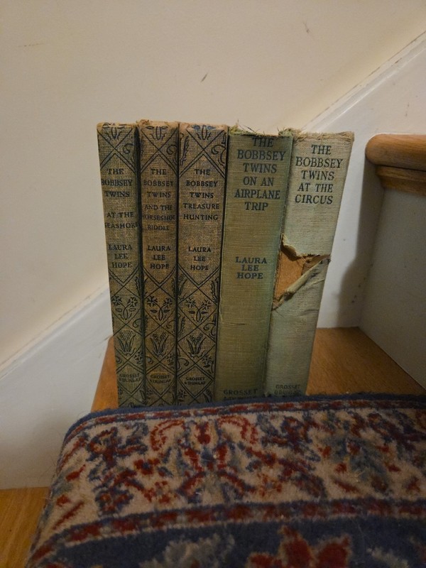 Lot of 5 Vintage The Bobbsey Twins Hardcover Children’s Books by Laura Lee Hope
