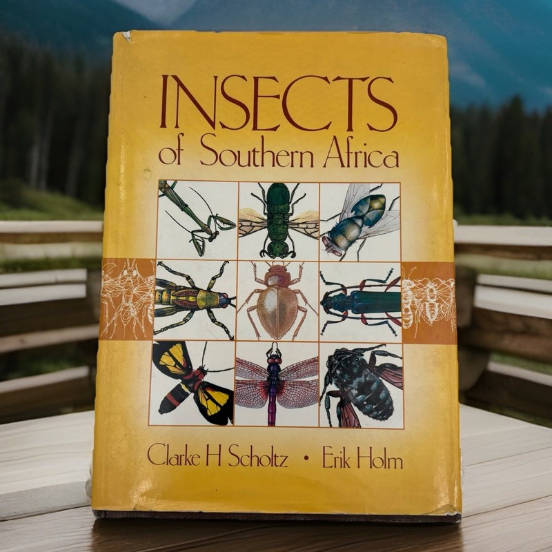 Insects of Southern Africa | Scholtz Holm | 1990 Butterworths Entomology Guide