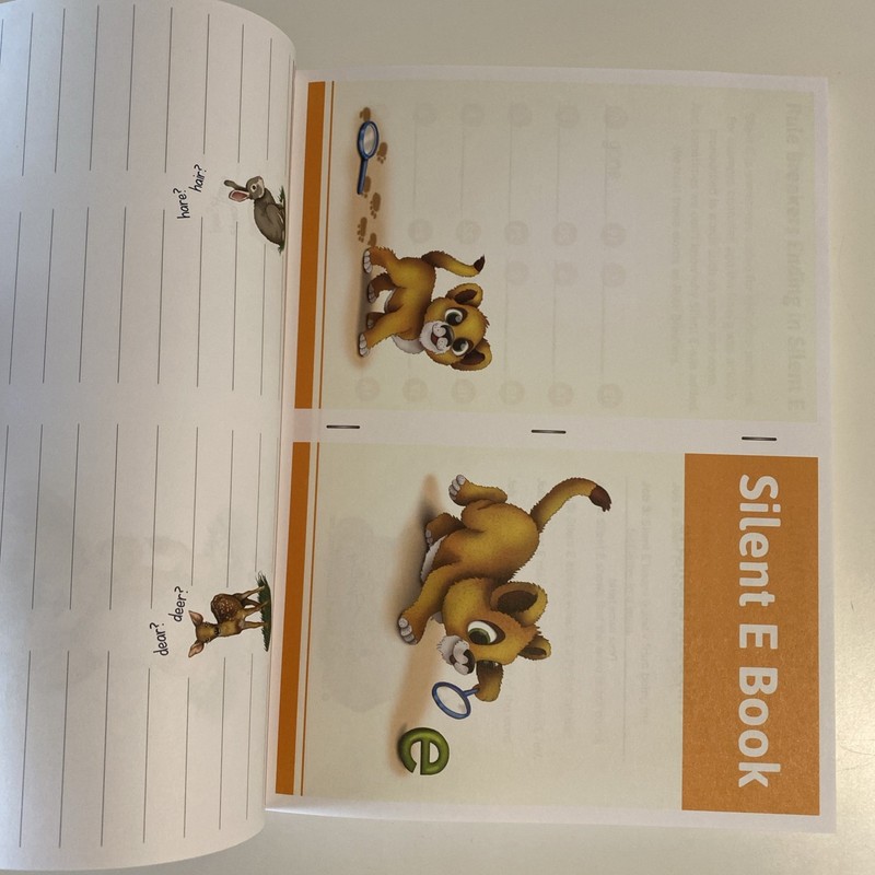 Roar Into Spelling by Marie Rippel 2024 Color Edition, Clean Pages, Like New gallery