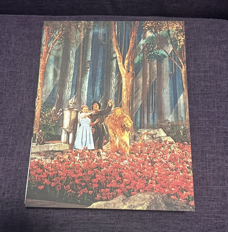 The Art of the Hollywood Backdrop Hardcover Cased Richard Isackes Karen Maness