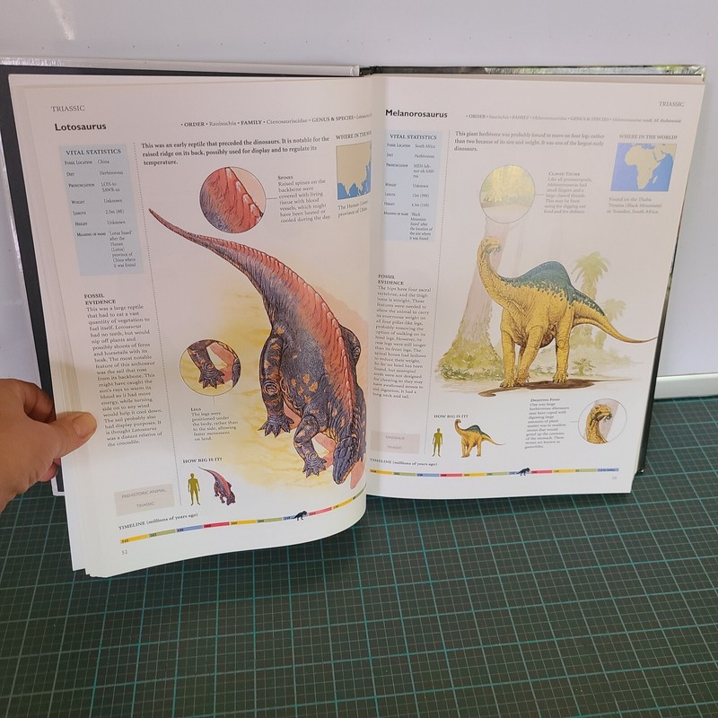 Dinosaurs & Other Prehistoric Animals Book 448 Pages Amber Books gallery